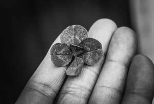 primary MB66